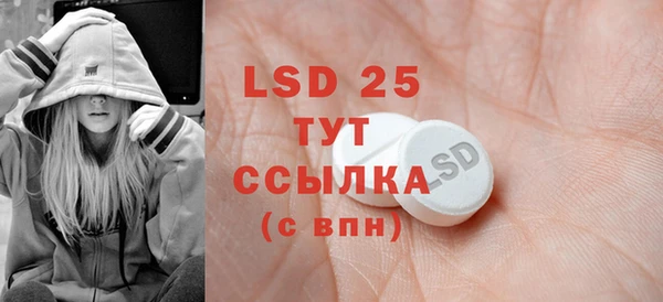 хмурый Ельня
