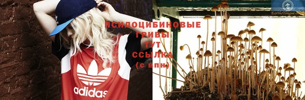 каннабис Заводоуковск
