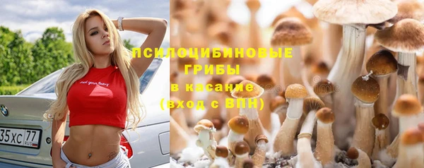 спиды Елабуга