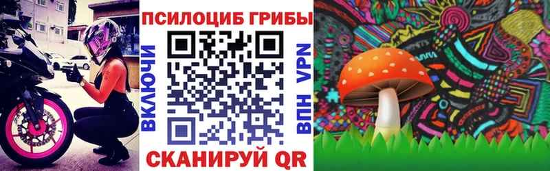 купить закладку  Рошаль  Галлюциногенные грибы мицелий 
